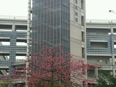 -广东科学中心科技影院