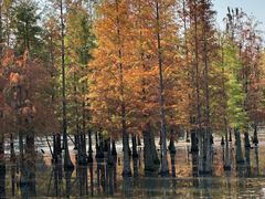 -白鹭湾湿地公园