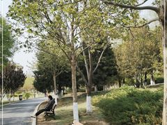 -太阳宫公园