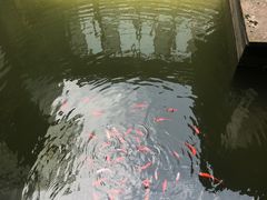 -山水一号·中餐厅