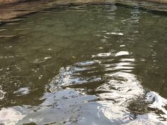 -江门古兜温泉小镇