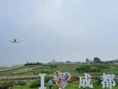 -空港花田景区