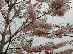 -白石龙音乐公园