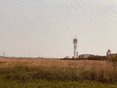 -上海吴淞炮台湾国家湿地公园