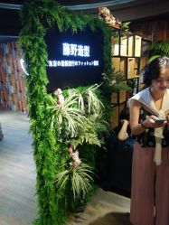 点击看大图 -藤野造型