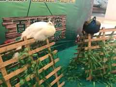 -太原茂业天地购物中心