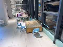 -怪兽屋·羊驼·猫咖·狗咖(俊华广场店)