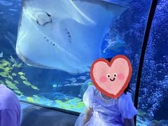 -太平洋海底世界