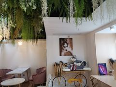 -Husky Go! 哈士奇体验馆·宠物咖啡厅狗咖