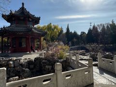 -莲池书院博物馆