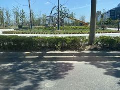 -南汇新城海滩