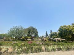 -自贡恐龙博物馆