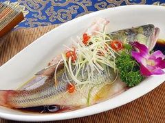 清蒸鲈鱼-站前猪蹄&家常炒菜(长乐公园店)