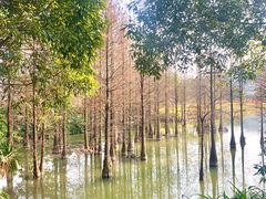 -南宁花花大世界景区