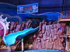 -烟台海昌鲸鲨海洋公园
