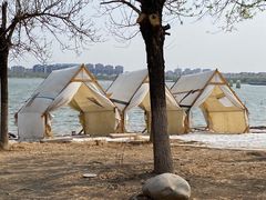 -武清南湖绿博园