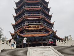 -铁山坪森林公园