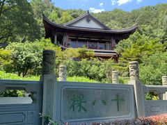 -十八棵（老龙井）御茶园(老龙井店)