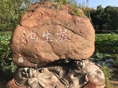 -二一九公园