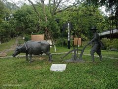 -广州神农草堂中医药博物馆