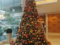 -上海大宁福朋喜来登酒店大堂吧(共和新路店)