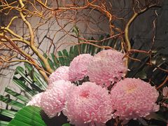 -炳胜私厨(中达旗舰店)