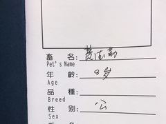 -申普宠物医院·心脏介入·心血管微创(总院)