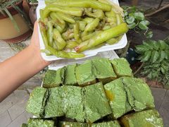 -农厨好味·温泉鹅·农家菜