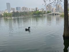 -武汉动物园