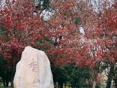 -香山公园