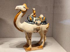 -四川宋瓷博物馆