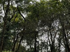 -杭州植物园