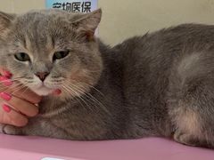 -艾贝尔宠物医院 ·内科全科(梁溪路店)