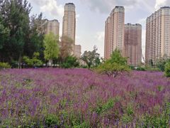 -东北农业大学
