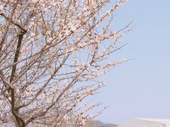 -上海辰山植物园