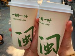 -一树一叶·福建茶档(石鼓路店)