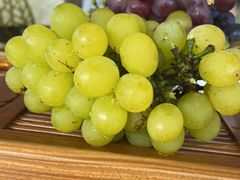 -美家乐农庄·露营·团建(大治路店)