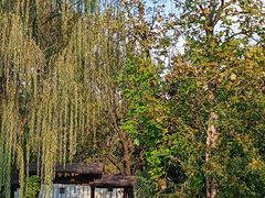 -白马涧龙池景区