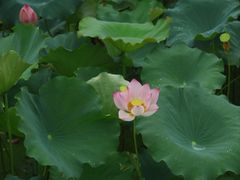 -清漾毛氏文化村