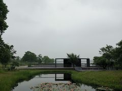 -海宁鹃湖公园
