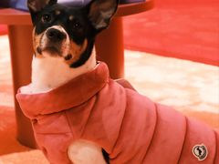 -MONCLER(北京SKP概念店)