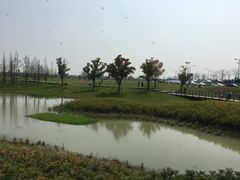 -海宁鹃湖公园