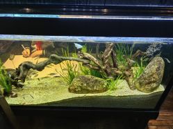 -日月刺青工作室·高端纹身