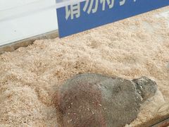 -怪兽屋·羊驼·猫咖·狗咖(俊华广场店)