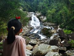 -海南热带雨林国家公园吊罗山景区