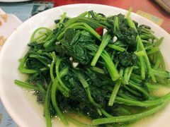 清炒野菜-乡土特色.冷锅鱼.牦牛肉汤锅