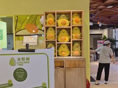 -油梨树AVOCADO TREE(嘉里中心店)