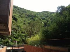 -香港大学