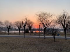 -武清南湖绿博园