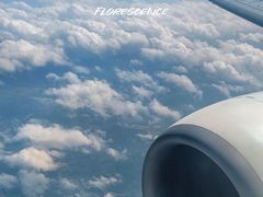 -昆明航空